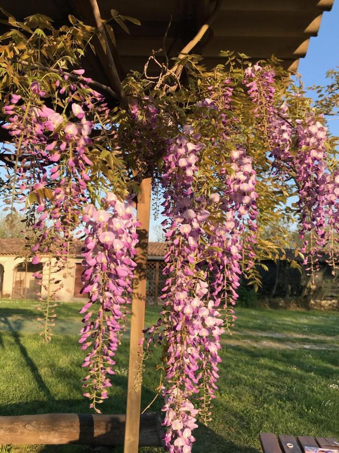 Agriturismo Corte Galvagnina Cesole 외부 사진