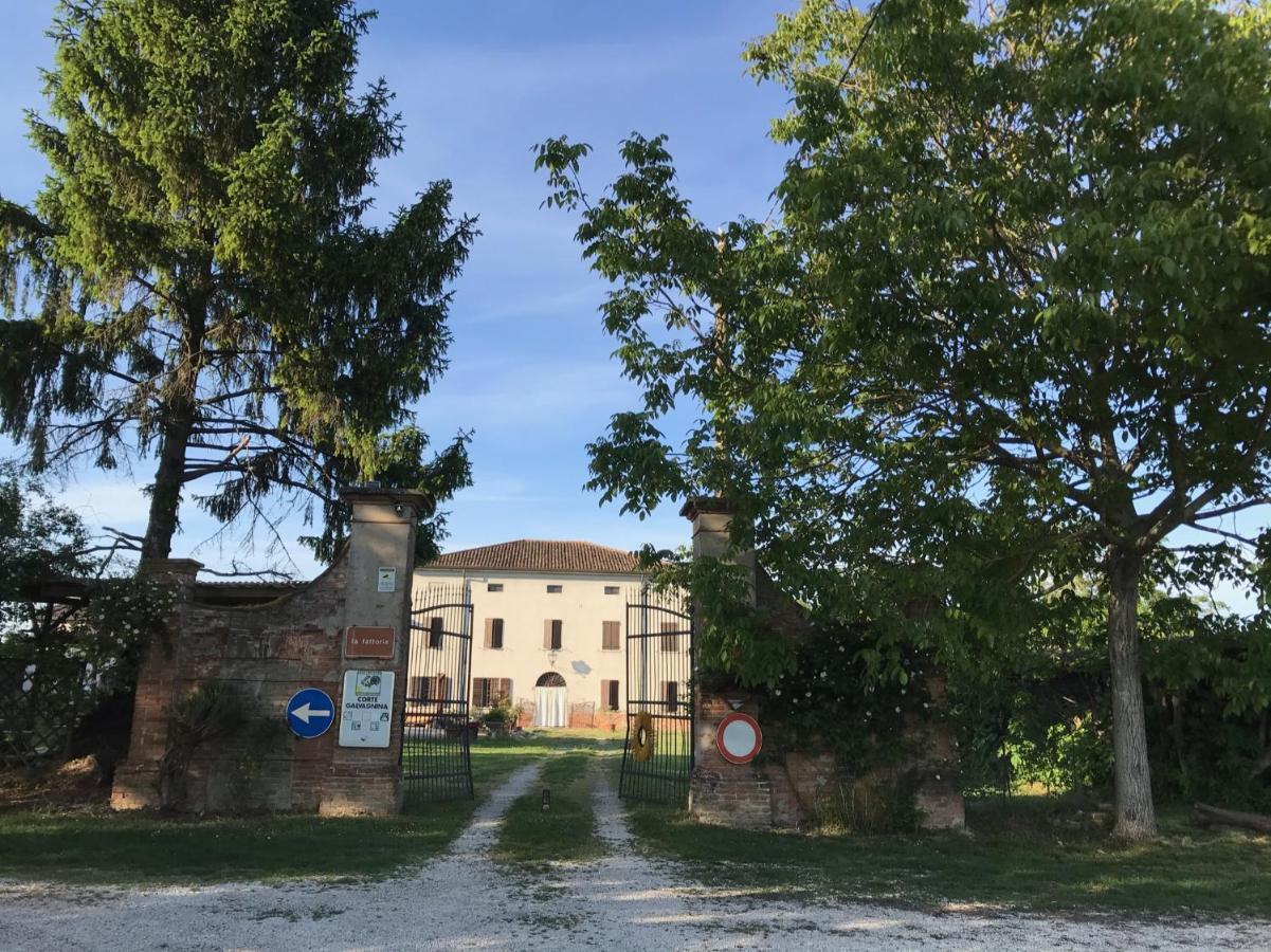 Agriturismo Corte Galvagnina Cesole 외부 사진